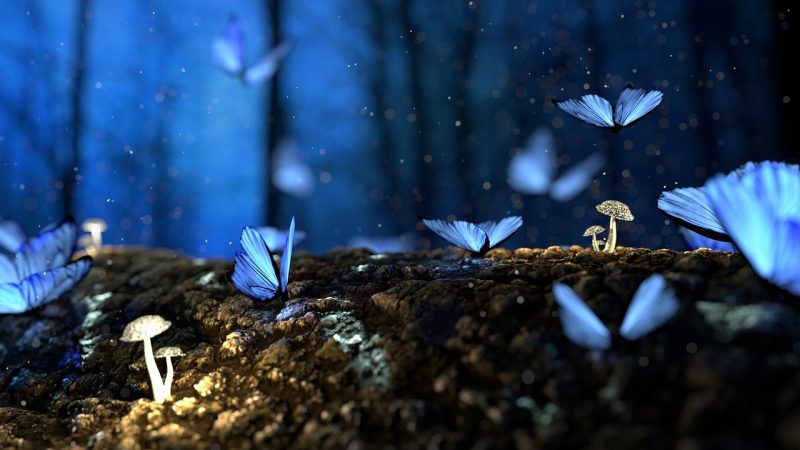 韩漫免费看 题材分类导航：恋爱、奇幻、悬疑怎么挑